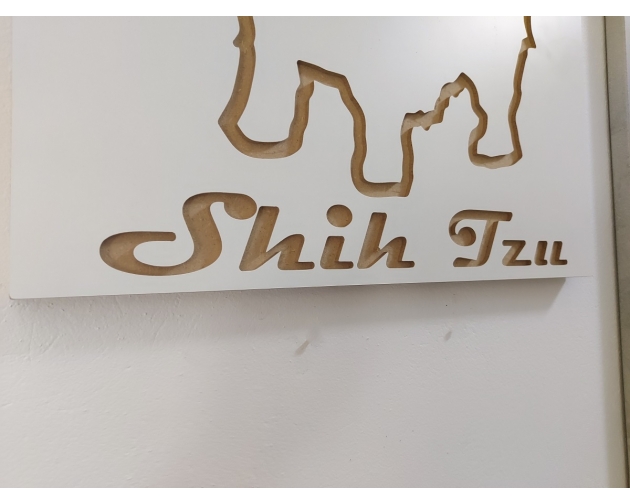 Tabliczka na ścianę Shih Tzu